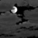 Overnight: Mostly cloudy, with a steady temperature around 56. South southwest wind around 7 mph. 